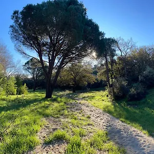Hôtes D'azur Au Mas De Cocody Le Plan-de-la-Tour